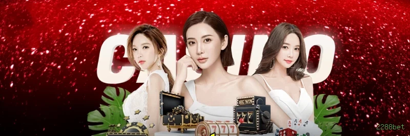 Controles de paJogonto e BRL em 2288bet